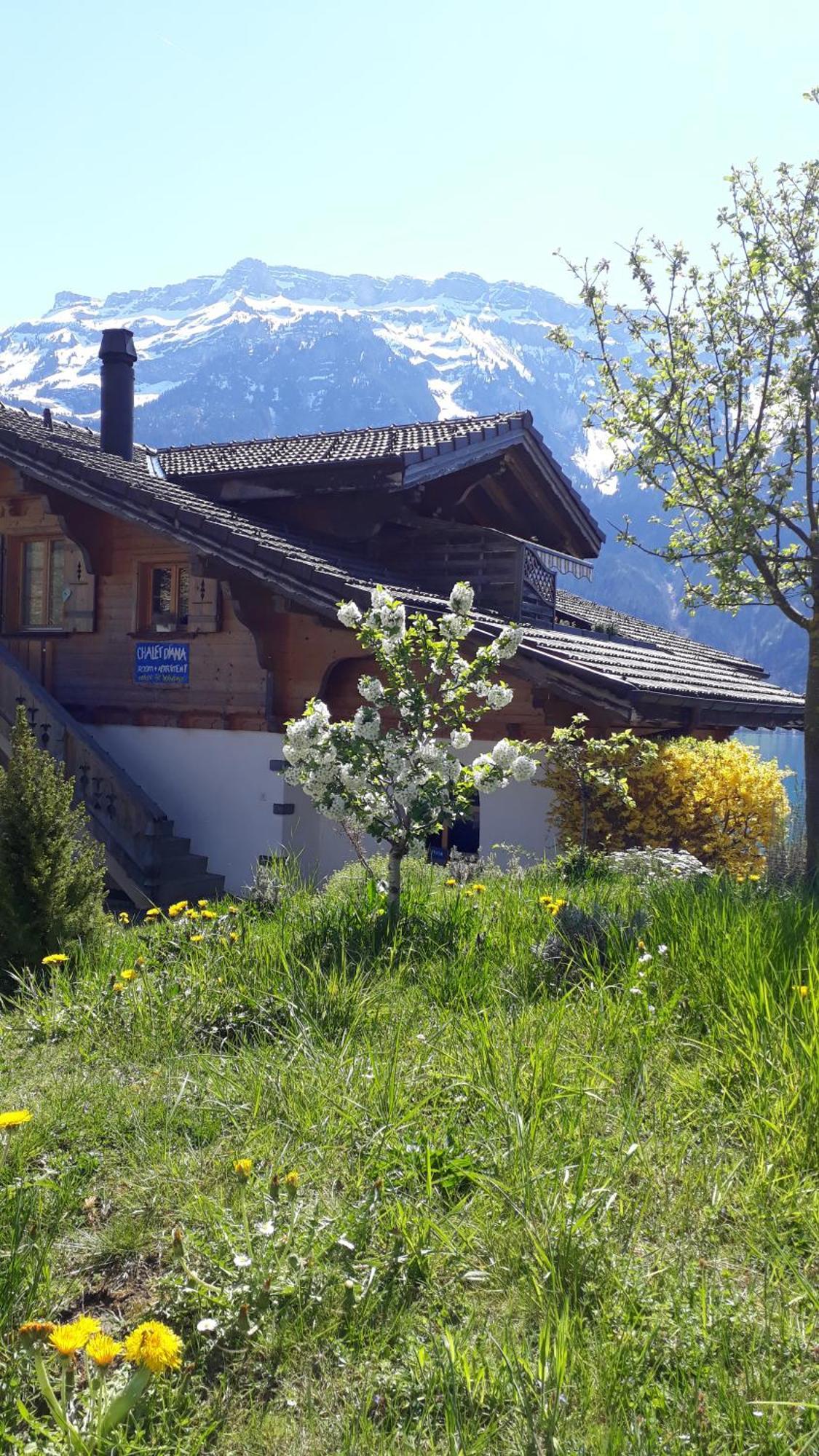 Chalet Diana Lakefront Ringgenberg Exterior foto